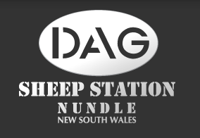 DAG Sheep Station Nundle New South Wales